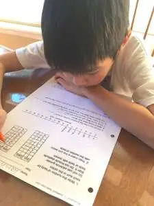 C113 fig 2